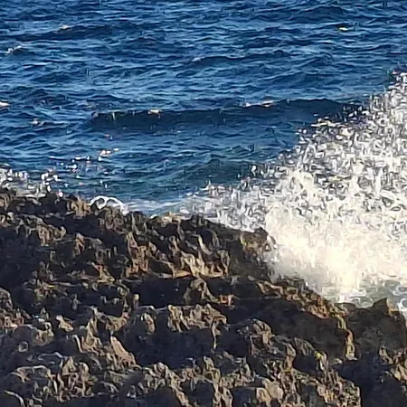 La Casa Di Pippo Apartment *